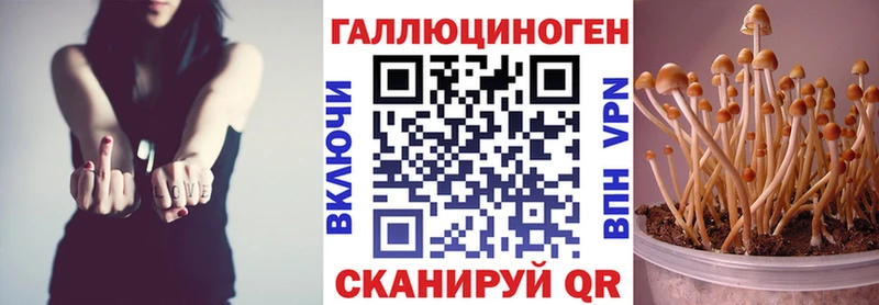 Галлюциногенные грибы GOLDEN TEACHER  что такое наркотик  Волгодонск 